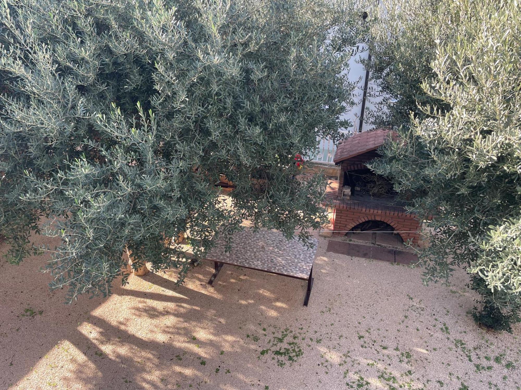 My Home Промайна Екстериор снимка